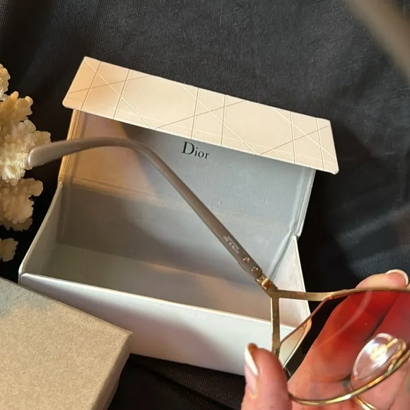 Christian Dior Sunny’s Full Inclusion